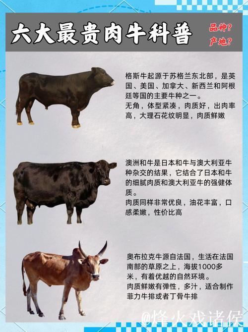 探索亚洲国产精品牛在线精彩世界 探索亚洲国产精品牛在线精彩世界