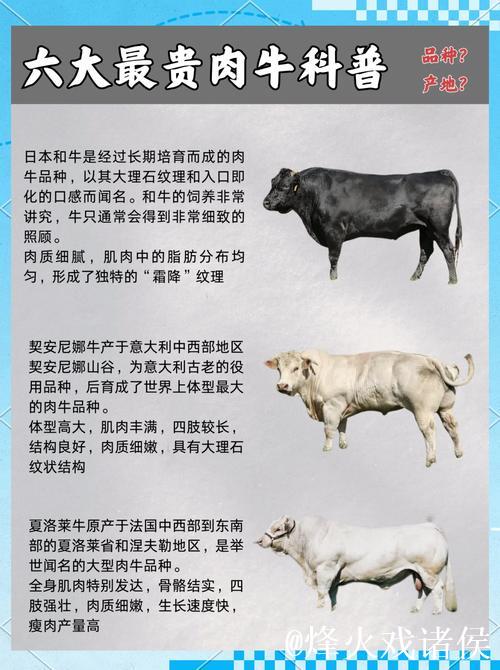 探索亚洲国产精品牛在线精彩世界 探索亚洲国产精品牛在线精彩世界